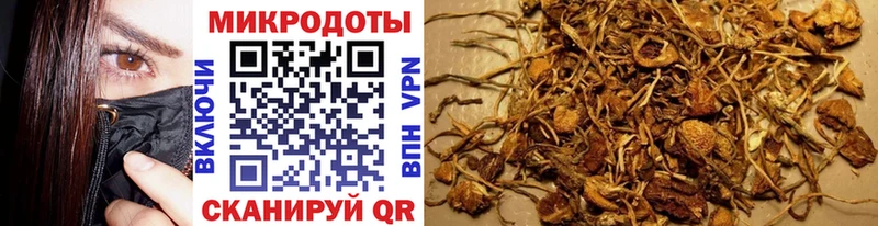 Купить где  Суворов  Галлюциногенные грибы мухоморы 